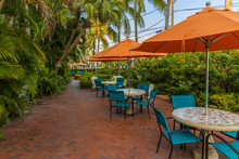 Beautiful View Of Outdoor Tables. Blue Chairs And Orange Umbrellas On Green Palm Trees And Blue Sky Background. Key West, Florida. USA. 