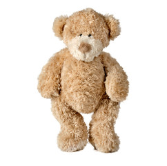 a cute small teddy bear isolated on white background