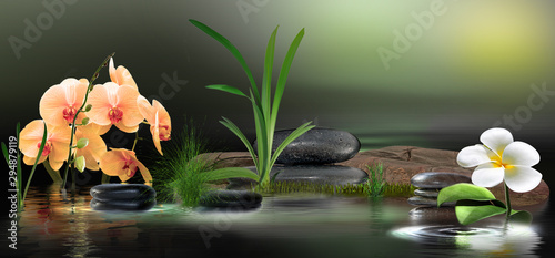 Wandbild mit Orchideen, Gräser und Steinen im Wasser © i-picture