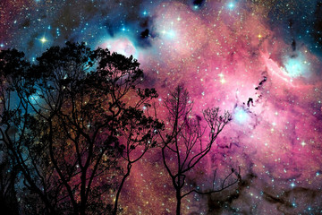 Wall Mural - blur galaxy nebula back on night cloud  sky on tree