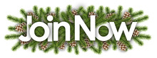 Join Now In Christmas Background - Pine Branchs