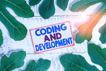 Text sign showing Coding And Development. Business photo text Programming Building simple assembly Programs