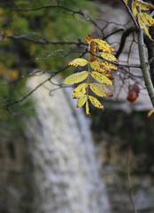 Wall Mural - large waterfall with high cliffs and trees with autumn foliage