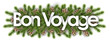 © nali - bon voyage in christmas background : pine branchs