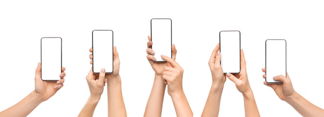 Poster - Woman's hands using smartphone with blank screen over white background