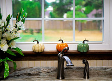 Fall And Holiday Seasonal Images Of Faux Decorative Pumpkins In Kitchen Of Home.  Orange, Green And Off White.  Some Images On Window Sill.