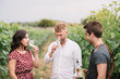© Westend61 - Sommelier explaining customers wine in the vineyard