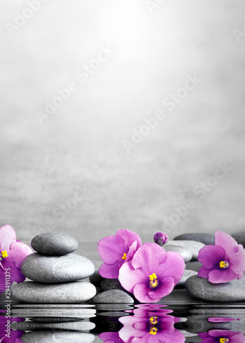 flower and stone zen spa on grey background © Belight