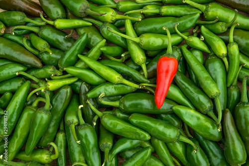 Fotomural Large crop of red and green hot chili peppers