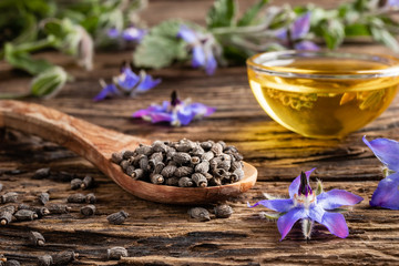 Wall Mural - Borage seeds, fresh blooming plant and borage oil