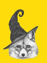 Portrait Of Fox With Witch Hat. Halloween. Hand-drawn Illustration. Vector