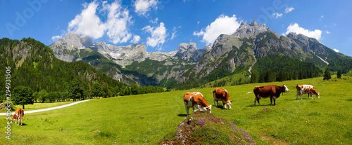Eiskogel im Tennengebirge Tableau sur Toile