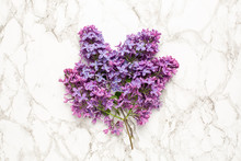 Purple Lilac Flowers On Marble Background, Simple Composition For Holiday