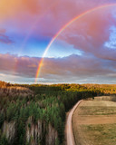 Fototapeta Tęcza - rainbow over field with blue sky and clouds