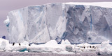 Fototapeta Tęcza - Adelie penguins on ice in with a tabular iceberg in the background