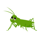 Fototapeta Dinusie - Green Cricket - Cartoon Vector Image