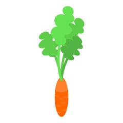 Wall Mural - Garden carrot icon. Isometric of garden carrot vector icon for web design isolated on white background