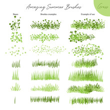 Set Of Summer Vector Grass Ecology Brushes - Silhouettes Of Summer Grass, Flowers, Different Earth Greenery Types Isolated On White, Vector Illustration Brush Nature Collection
