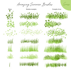 Set of summer vector grass ecology brushes - silhouettes of summer grass, flowers, different Earth greenery types isolated on white, vector illustration brush nature collection