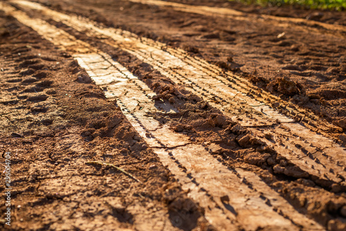 Fotomural Wheel track on wet soil or mud