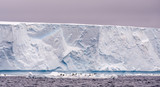 Fototapeta Tęcza - A huge tabular iceberg towers over penguins in Antarctica