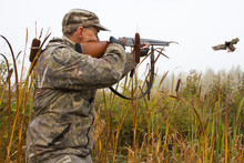 The Hunter Takes Aim At The Flying Duck Among The Cattails