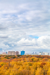 Wall Mural - dense white clouds in sky over yellow city park