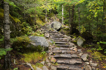 Natural Stone Stairway In A Forest Of Saguenay Fjord National Park, Quebec, CANADA.