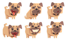 Cute Pug Dog With Various Emotions Set, Funny Animal Cartoon Character Vector Illustration