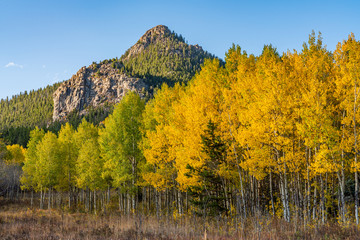 Fall Foliage In Golden Gate State Park, Golden Colorado