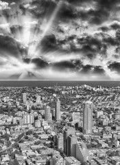 Poster - Black and white aerial view of Sydney, Australia