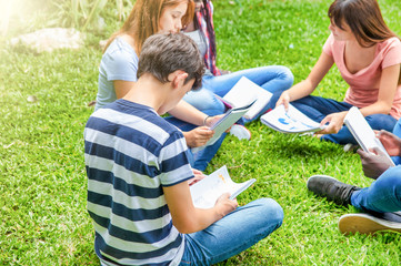 Wall Mural - Group of teenagers outdoor making school lesson