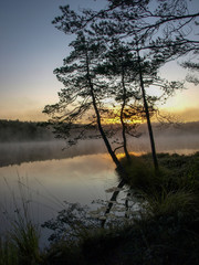 Wall Mural - beautiful mist on the lake, dark tree silhouettes, sunset on the forest lake