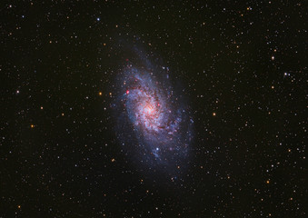Wall Mural - triangulum galaxy m33