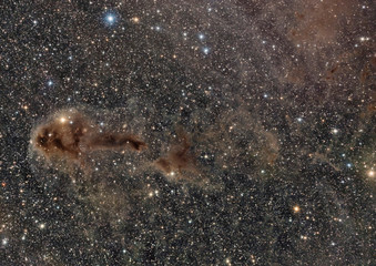 Wall Mural - ldn 1250 dark nebula