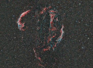 Wall Mural - complete veil nebula in high resolution