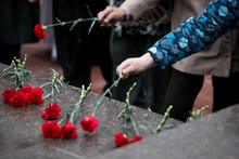 Red Roses And Carnation Symbol Of Mourning - Laying Flowers To The Monument, Telephoto
