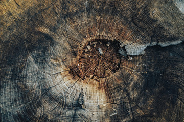 Poster - Beautiful old wooden background texture.