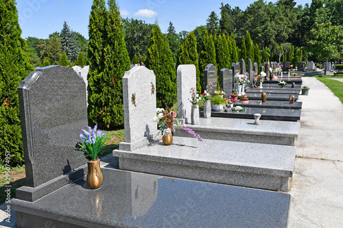 Cuadros en Lienzo Tombstones in the public cemetery