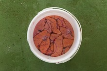 High Angle Shot Of A Lot Of Liver In A White Bucket On A Green Surface