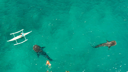 Place to snorkel and scuba drive and whale shark watching, top view, Oslob, Philippines. clean blue ocean and has many local Filipino boats in the sea