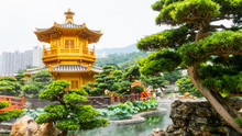 Architecture China, Classical Garden, Nan Lian Gold Chinese Pavilion At The Park , Golden Pavilion Of Perfection In Nan Lian Garden, Hong Kong