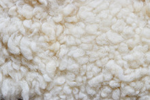 White Soft Wool Background, Natural Sheepskin Rug.