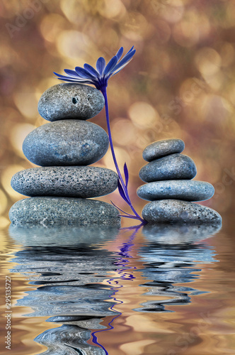 piedras y flores reflejadas en el agua