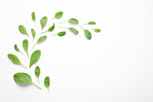 Fresh Green Healthy Spinach On White Background, Top View