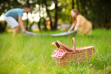 Wicker picnic basket with bottle of wine and bread on green grass