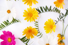 Flowers Composition. Various Colorful Flowers On White Background. Flat Lay, Top View. Yellow And Red Wildflowers.