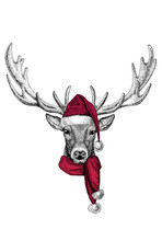 Portrait Of Wild Deer Wearing Chrismtas Santa Claus Hat