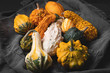 Variety of colorful decorative squash and pumpkins on dark denim background. Happy Thanksgiving, autumn harvest or Halloween concept. Low Key food photography. Side view