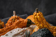 Squash and pumpkin faded on a grey texture background. Side view of assorted colorful warty vegetables. Autumn harvest concept. Low key food photography. Copy space